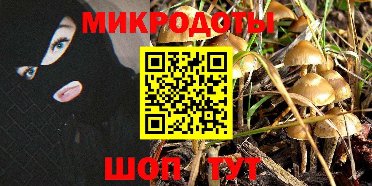 Псилоцибиновые грибы прущие грибы Новочебоксарск