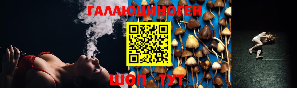 Новочебоксарск  цена наркотик  Вход с VPN  Псилоцибиновые грибы ЛСД  Галлюциногенные грибы Magic Shrooms 